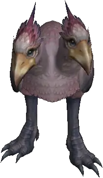 Baby Alpine Kookaburra