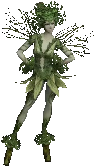 Dryad Elder
