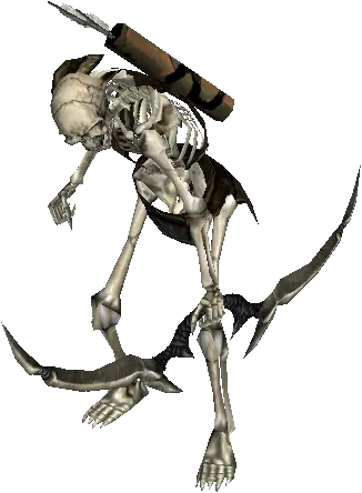 Dead Pit Skeleton Archer